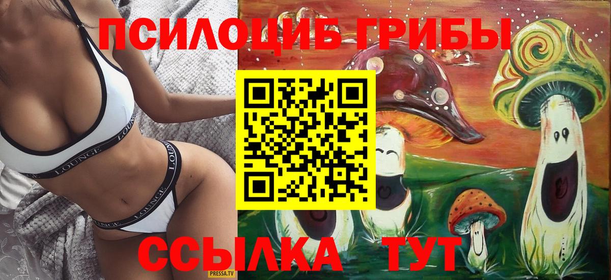 Галлюциногенные грибы Cubensis Великие Луки