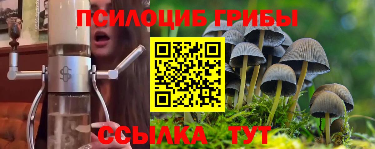 Галлюциногенные грибы MAGIC MUSHROOMS  Псилоцибиновые грибы Psilocybe  Вход с VPN  Великие Луки 